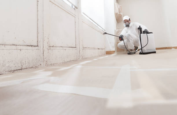 Black mold remediation team in Point Pleasant